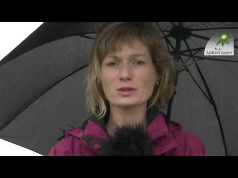 56. Feldexkursion: Zwischenfrüchte und Blattläuse-was tun? - NU Agrar, 26.10.2016