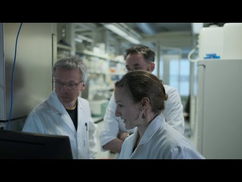 Spark Award 2020 - Evolutionary Trap Vaccines