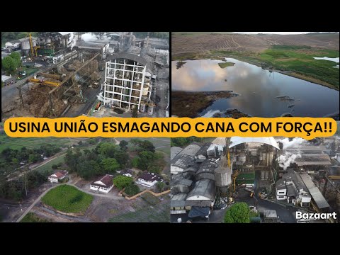USINA UNIÃO EM PRIMAVERA, PERNAMBUCO. SAFRA 2025-2026 