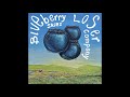 Blueberry Skies Full EP