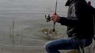 Graphiteleader calzante ex gocaxs 732ul-s