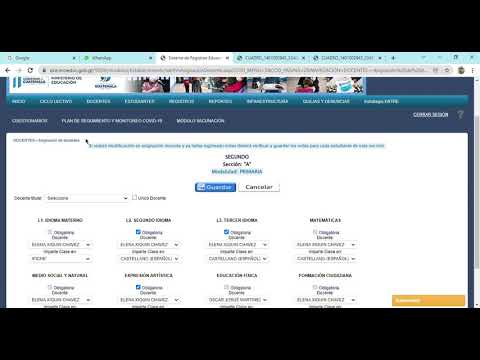 RECOMENDACIONES PARA LOS DOCENTES BILINGUES EN LOS CUADROS PRIM