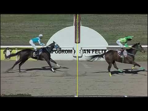 SINT PAYSANDU 230718 c09 -1° WATCH THE DOG