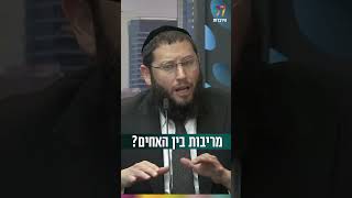 מריבות בין האחים? (הרב אייל אונגר) - התמונה מוצגת ישירות מתוך אתר האינטרנט יוטיוב. זכויות היוצרים בתמונה שייכות ליוצרה. קישור קרדיט למקור התוכן נמצא בתוך דף הסרטון