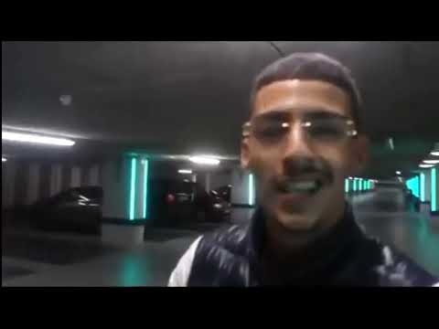 BOEF vs Nederlandse Politie   Domste momenten