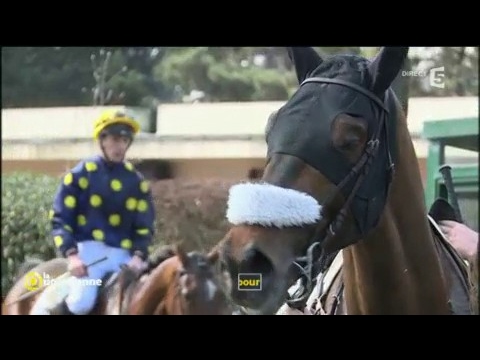 download lagu mp3 mp4 Pmu Pour Les Nuls, download lagu Pmu Pour Les Nuls gratis, unduh video klip Pmu Pour Les Nuls