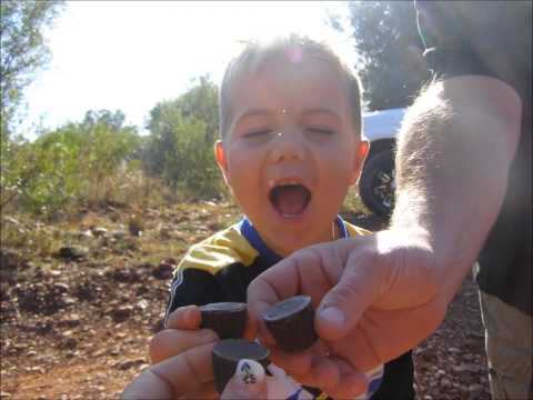 download lagu mp3 mp4 Berg Sion, download lagu Berg Sion gratis, unduh video klip Berg Sion