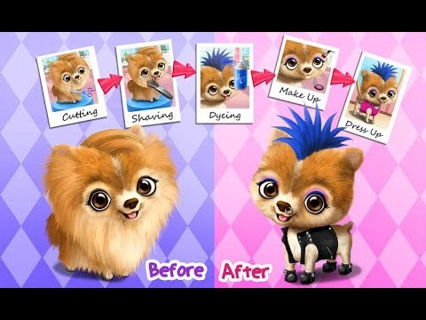 Animal Hair Salon Video