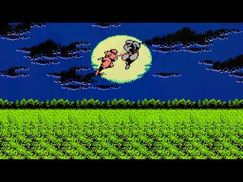 Ninja Gaiden - Basilisk Mine (Act 4/2) (Mega Man X Remix)