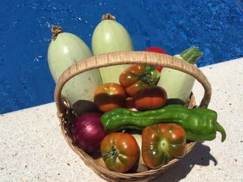 Hostal Cala Moli - Sant Josep de Sa Talaia - Spain