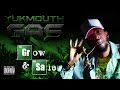 Yukmouth Rat Pack Audio Ft Lyrical Diversity