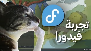 قررت اجرب فيدورا...