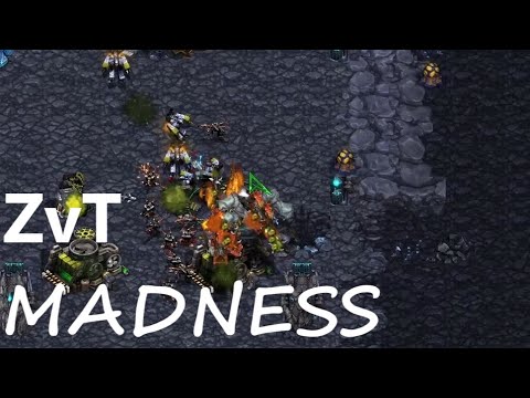 RoyaL vs XiaoShuai Ladder Battle!  - Starcraft Broodwar