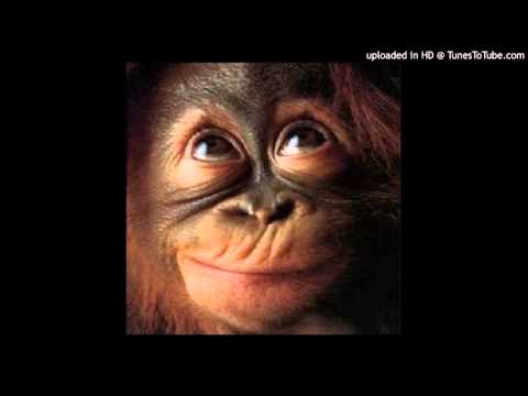 Today's Tango Is... El Monito - Julio De Caro 29-09-1949