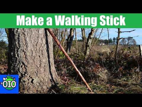 Free Branch to Awesome Walking/Hiking Stick! (Simple DIY Guide)