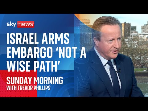 Lord Cameron: Israeli arms embargo 'not wise' - with US and UK 'in totally different situation'