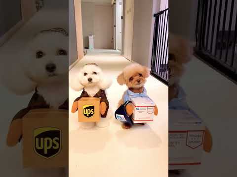 mani kuchikchalarim🩷🩷💗💗