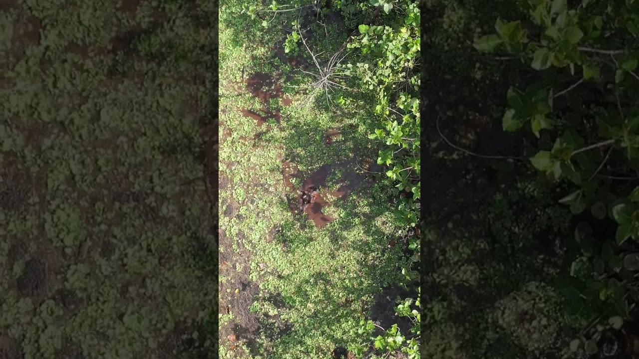 Hôtel Kasa Afrikana