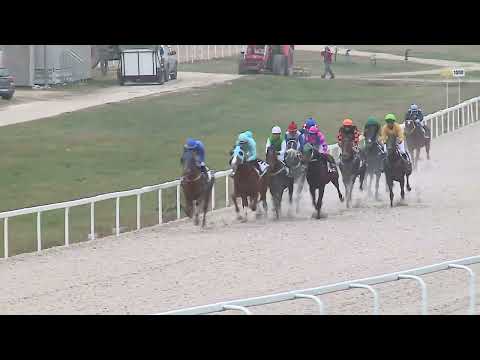 2022.11.27. 07. futam - NYERETLEN KÉTÉVESEK VERSENYE (IV.kat.) II.rész (szintetikus pálya)