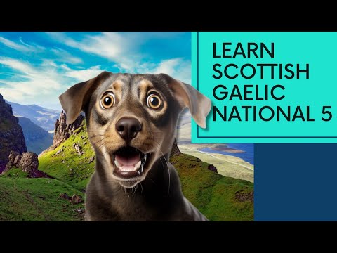 Learn Scottish Gaelic - eSgoil Lesson 6 - A bheil Gàidhlig agad? Language Difficulties, Pets