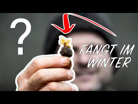 Day session in WINTER with Steffen Hambsch | Carp fishing