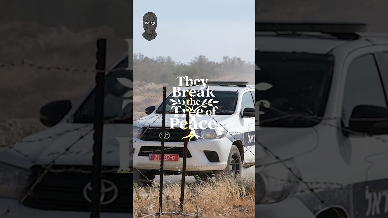 Coming soon. Stay tuned. #palestine #israel #war #news