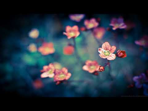 Mare este Domnul in Sion # Din Cleveland # Coruri # Cor