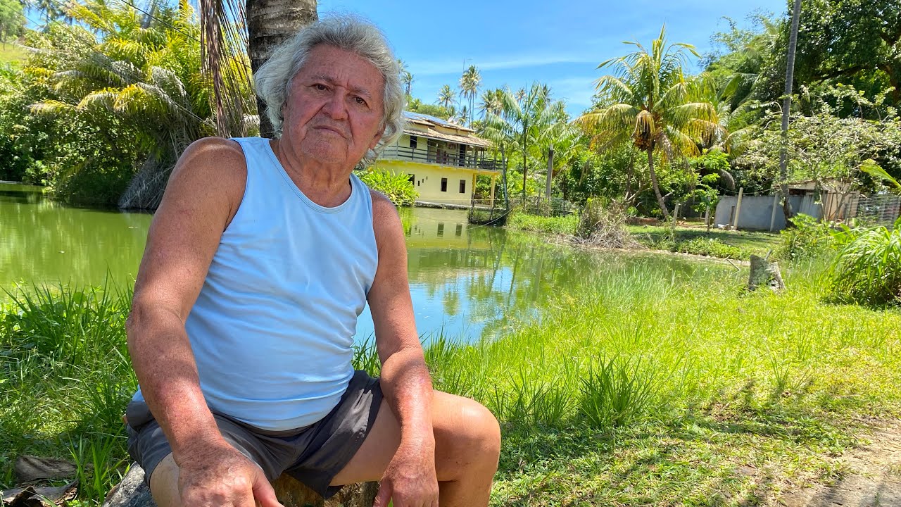 Conheça a Criação de Pirarucu, Tilápia e Tucunaré do Sr. Bartolomeu I Camaçari BA