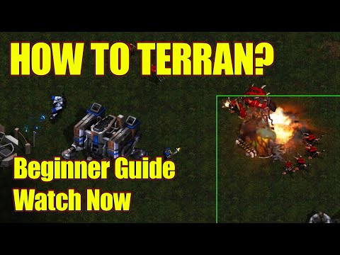 If You're Brand New To Terran, Do This First - Terran Guide Starcraft Broodwar Beginner Guide 2024