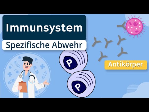 Specific immune defense (T lymphocytes, antibodies) explained