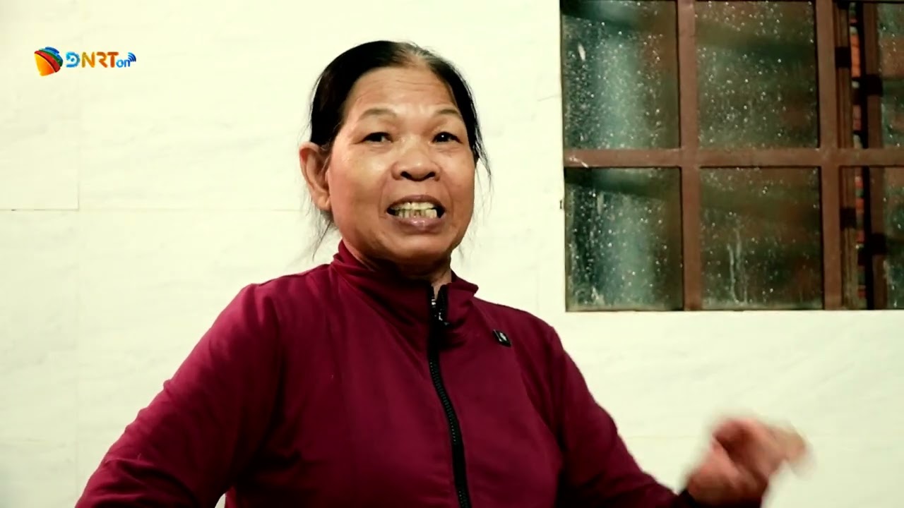 CẨM NÊ - SẮC CHIẾU TRĂM NĂM