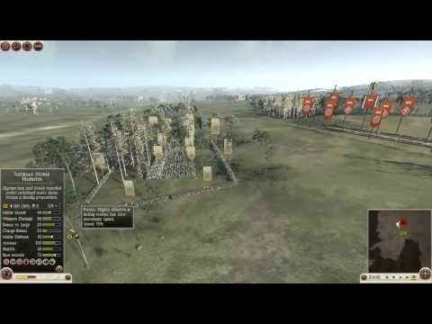 Ardiaei Spearbox + Mopup