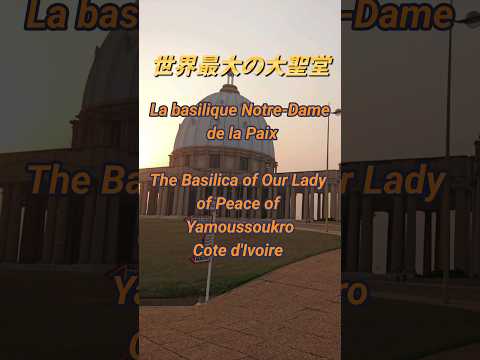 バシリカ計画 - 定義