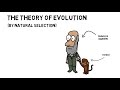 The Theory of Evolution (by Natural Selection) | Cornerstones Education