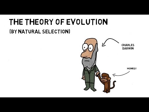 3rd YouTube video about how does natural selection lead to evolution apex