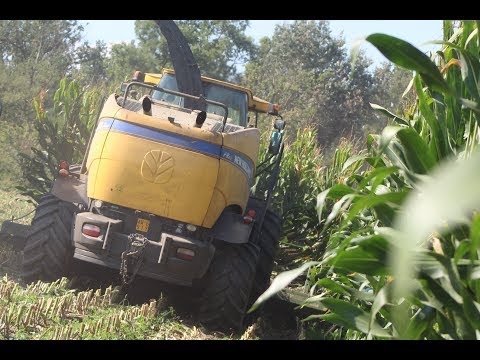 TRINCIATO MAIS 2018 / CORN SILAGE 2018 / NEW HOLLAND FR 850