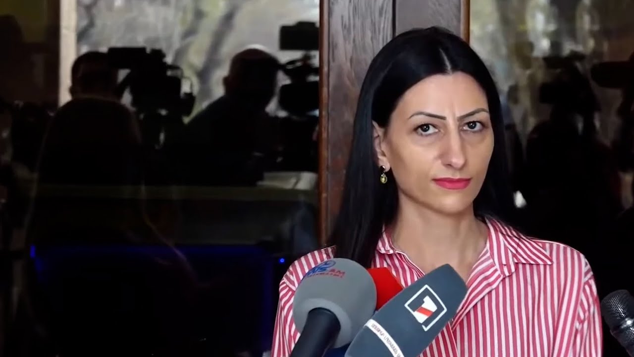 Նարեկ Սամսոնյանին բերման ենթարկելիս անհամաչափ ուժի կասկած տեսել ենք, դիմել ենք իրավասու մարմնին