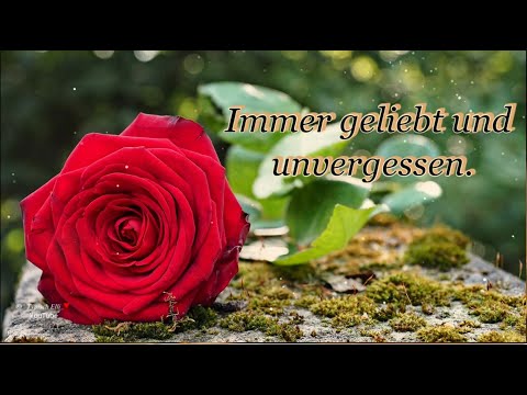 In Gedenken an die Liebsten, die wir im Herzen tragen ❤️