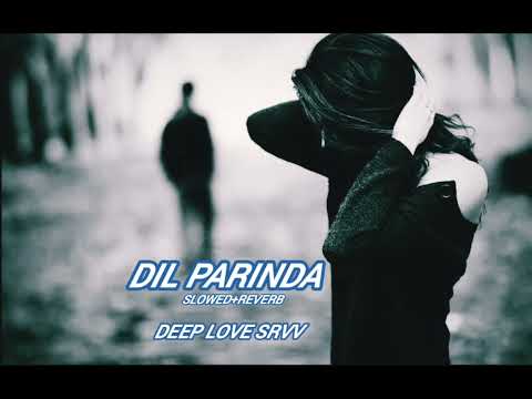 Dil Parinda | (Slowed+Reverb) || Bezubaan Ishq || Sad Song || Love Song || DEEP LOVE SRVV