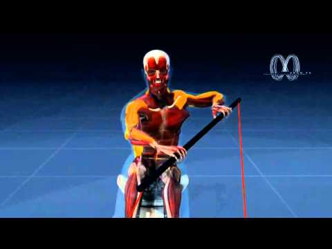 Paddlelite Pro - Paddling for a healthy back