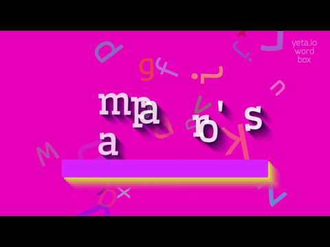 How to say "amparo's"! (High Quality Voices)