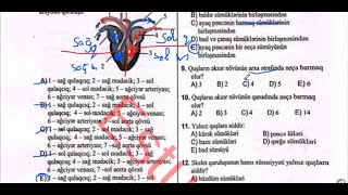 Quşlar sinfi (1-37) | Quşlar və Məməlilər | Biologiya DİM Test Toplusu 2025