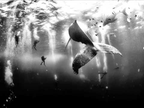 Robin Guthrie  -  Brock's Theme - 2014