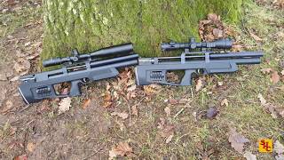 Pest Control with Air Rifles - Squirrel Shooting - Pair of Crickets