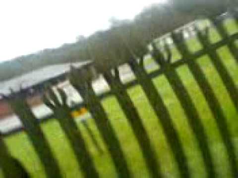 callum and shane down trecwn YES THATS RIGHT TRECWN