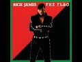 Rick James - Sweet And Sexy Thing - 12 Inch (1986)