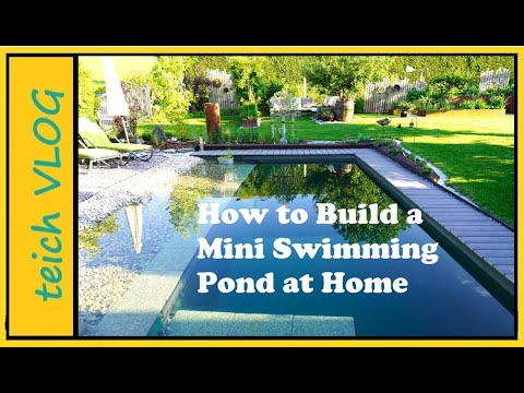 Small Swimming Pond, Big Impact – Build Your Own Natural Pool!