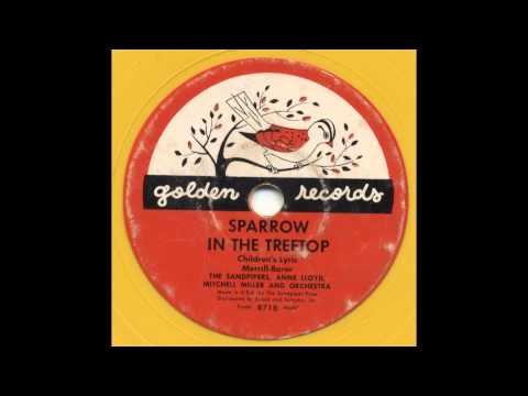 Sandpipers & Anne Lloyd - Sparrow in the Treetop