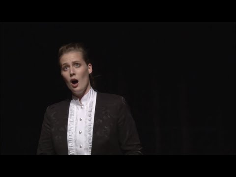 Non so più cosa son cosa faccio / Cherubinos first aria / Le nozze di Figaro / W.A. Mozart