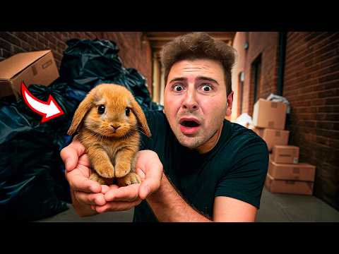 ENCONTREI UM COELHINHO ABANDONADO NO MEIO DO LIXO! *COITADINHO